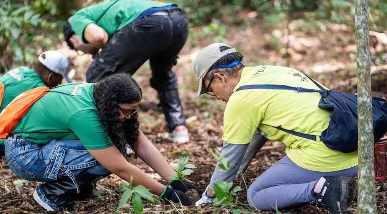 ONG Argilando incentiva jovens a proteger biomas com ação ambiental